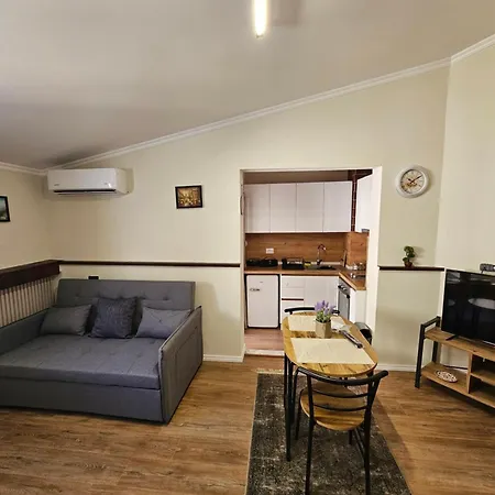 Vila Tafa Apartments Tirana Exterior photo